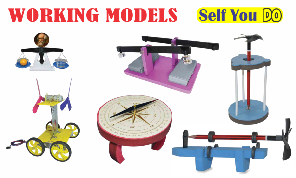 Working Model